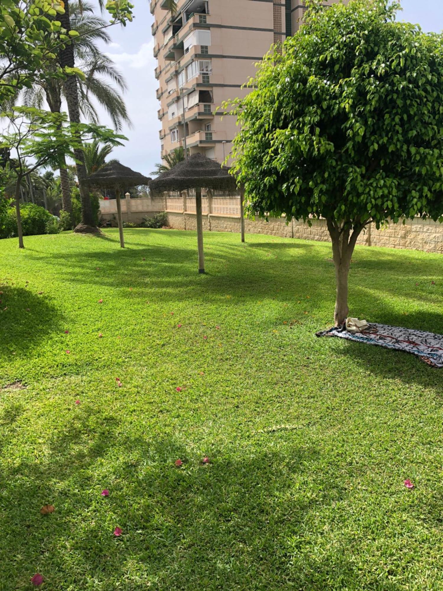 Apartament Studio Infinity Sea Aguadulce  Zewnętrze zdjęcie